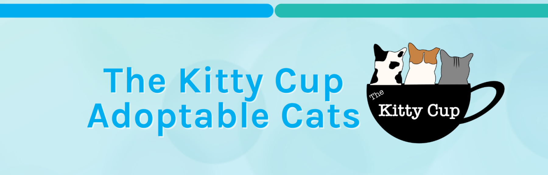 Kitty_Cup_Banner.png