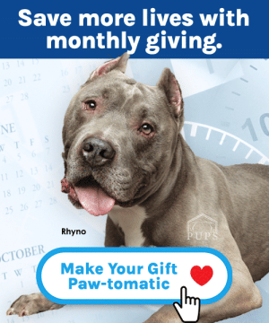 Hoarding Case Donations - EMF