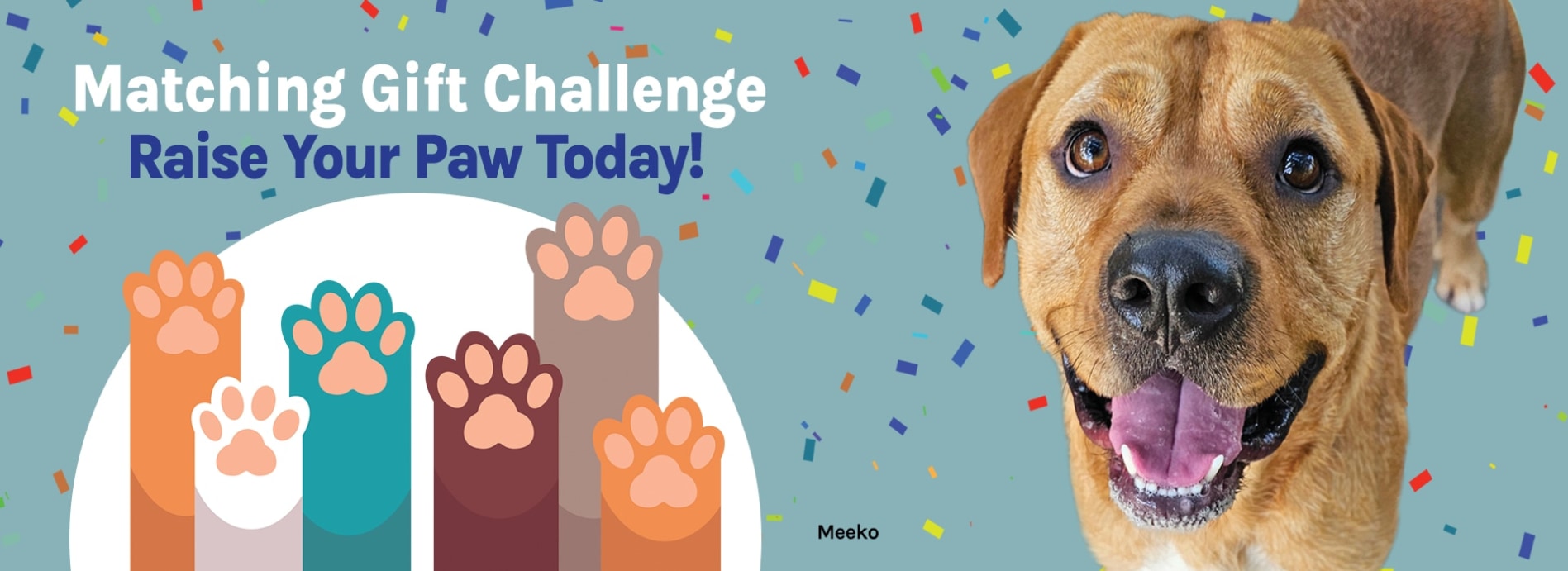 80_HSTC_Q2_2025_Digital_Donation_Page-meeko.jpg
