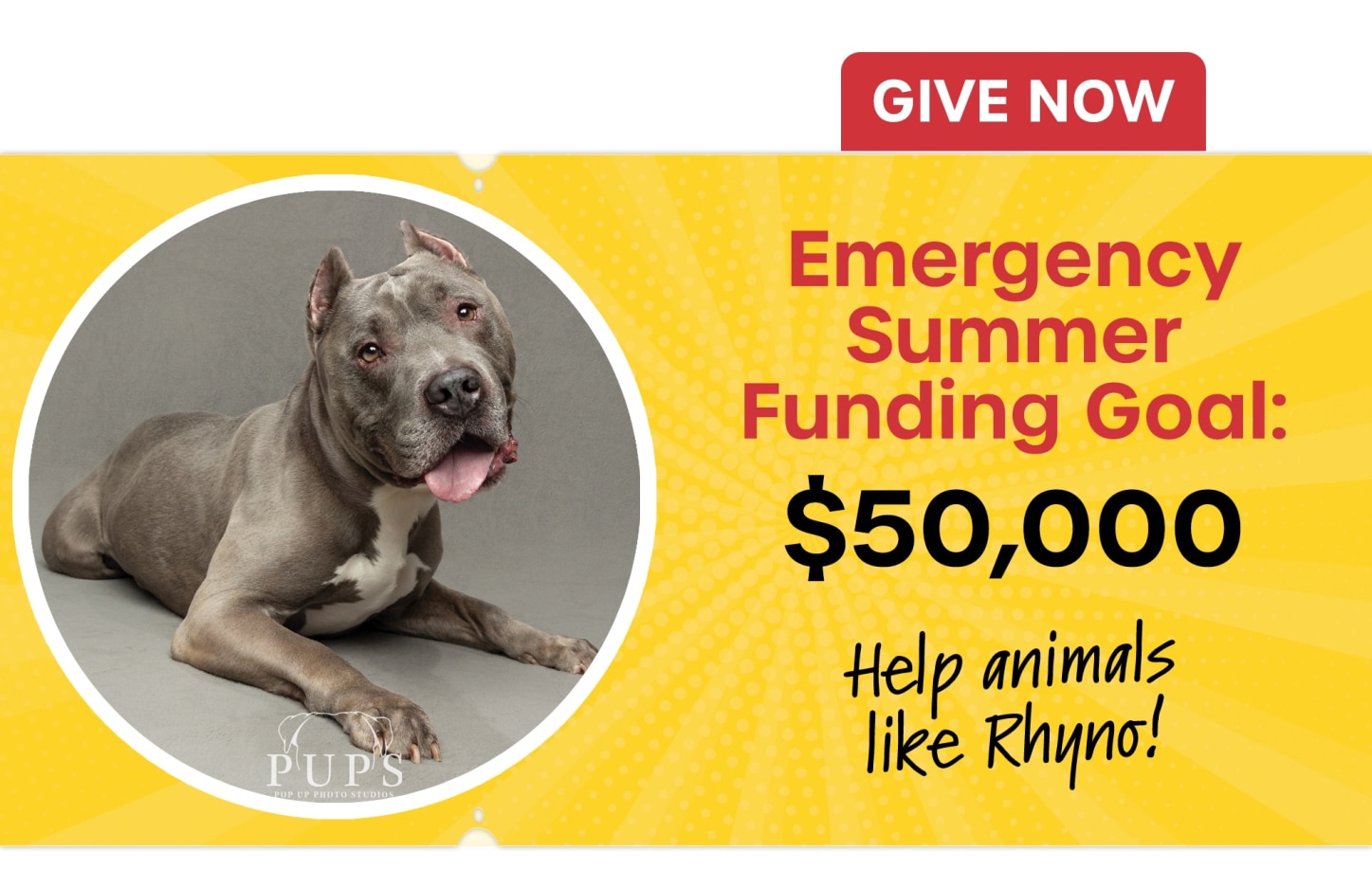 80_HSTC_July_2026_Donor_Email_Banner_copy.jpg