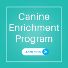 Canine_Enrichment_Program.png