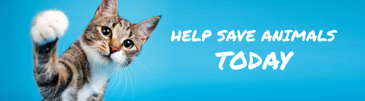 AC116276_Donation_Page_1300x360_FLTC2.png