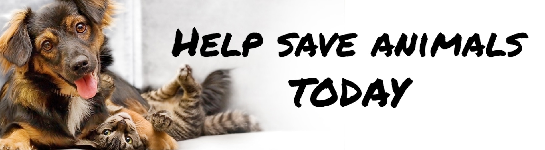 Donation_Page_1300X359.jpg