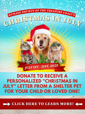 Copy_of_1366x585_Paramount_Christmas_in_July_(1)-0001.png