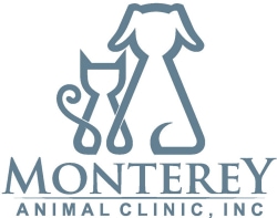 Monterey_Animal_Clinic-0002.jpg