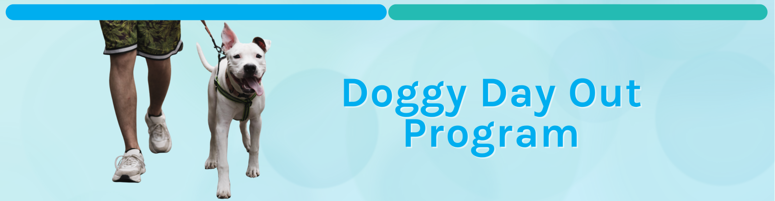 Doggy_Day_Out_Banner_(1).png
