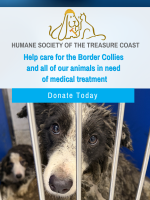 Hoarding Case Donations - EMF
