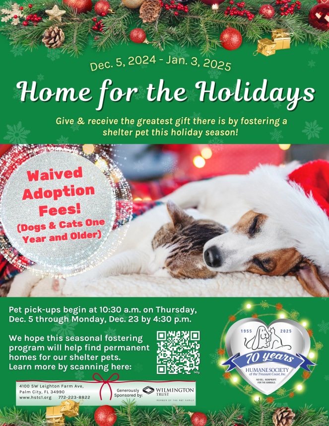 Home_for_the_Holidays_Flyer_(8_5_x_11_in).jpg