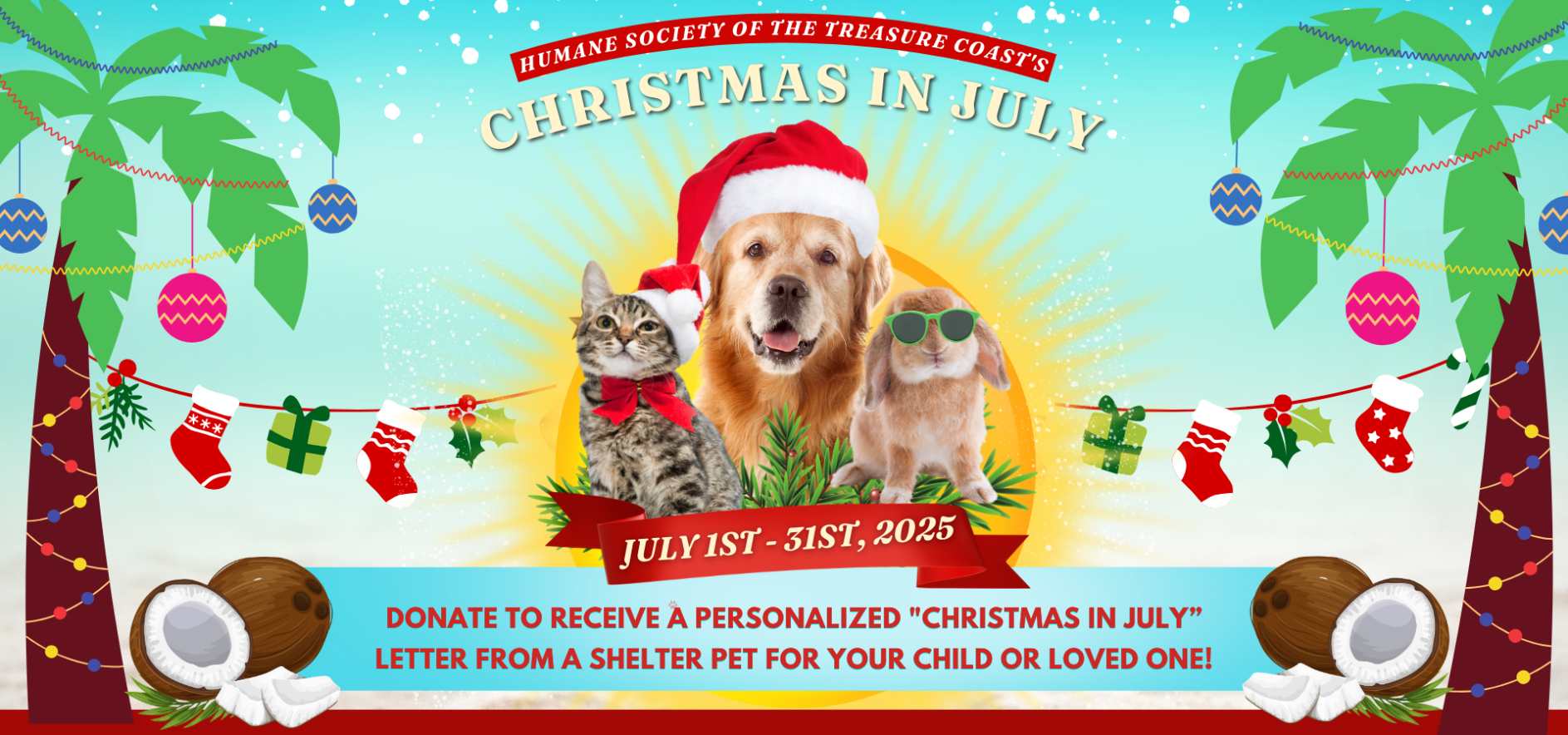 CIJ_Newsletter_Graphic.png