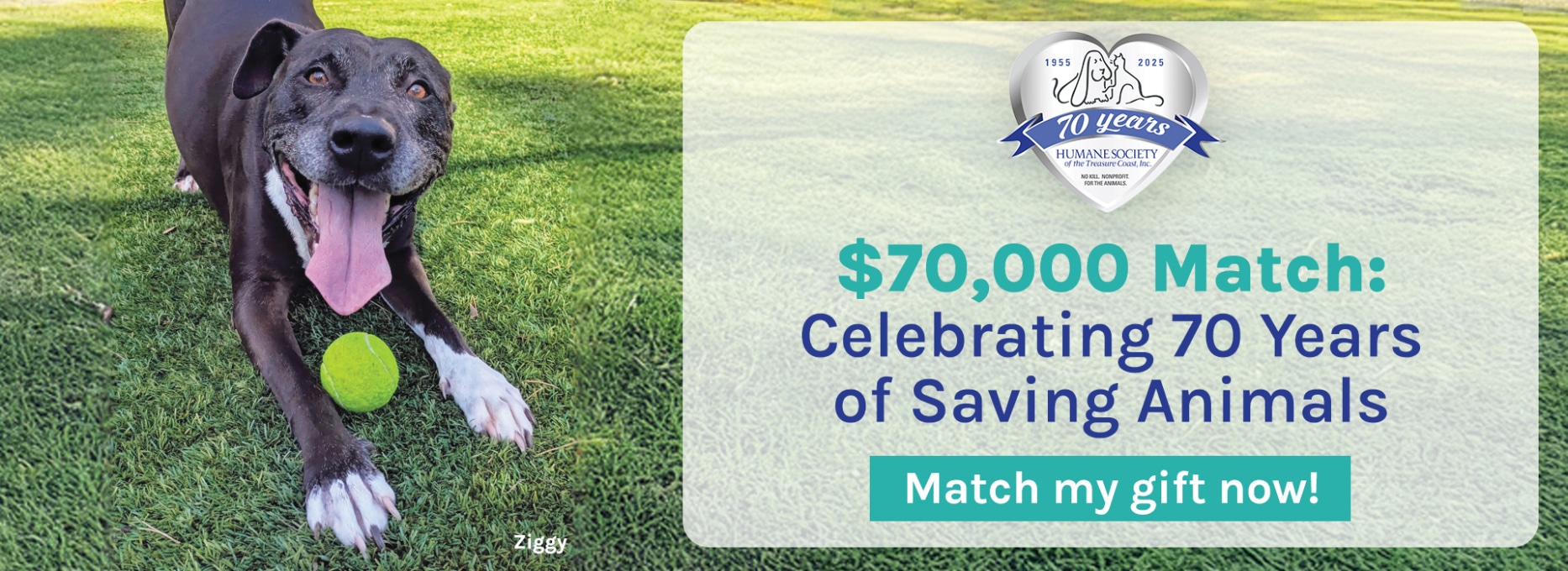 80_HSTC_September_2025_Donation_copy.jpg