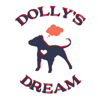 DD_Logo_transparent-0001.png