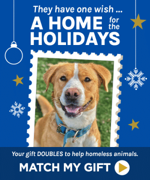 Project Pawsible