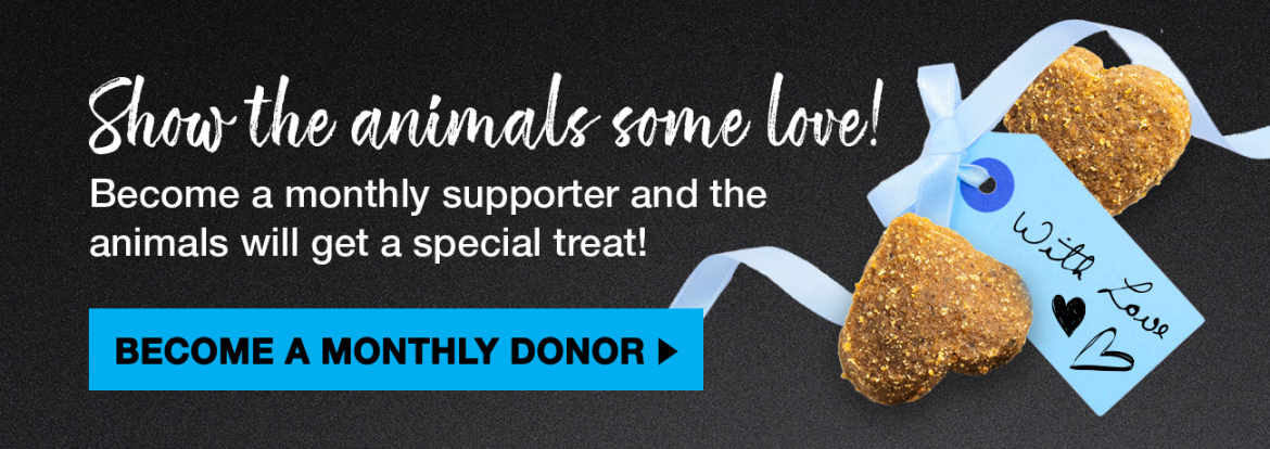 80-HSTC_B-March_Monthly_Donor_Email_1_SecondaryBanner_With_Treat.jpg
