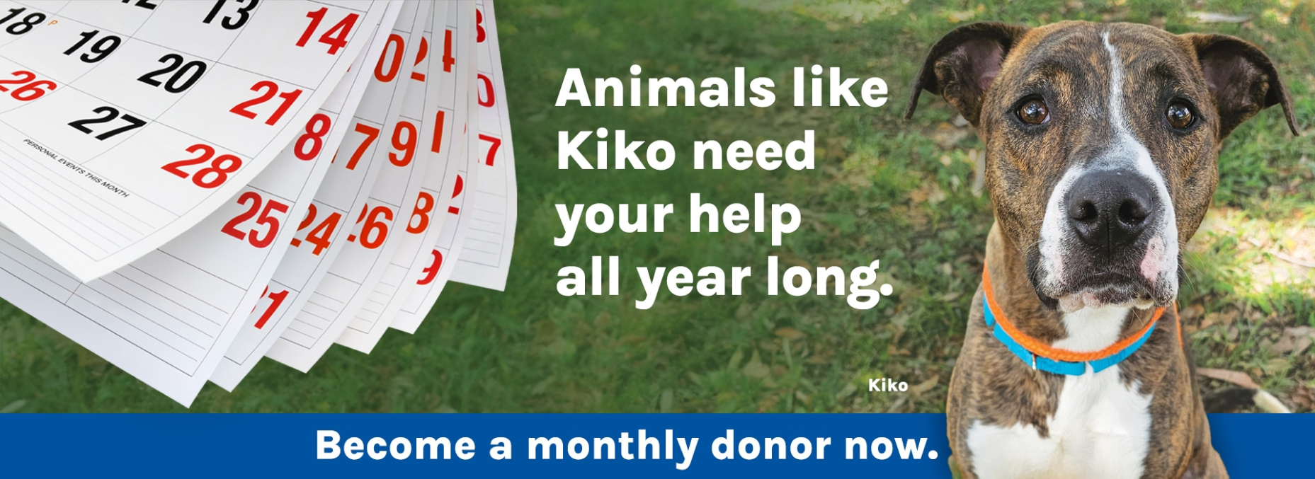 80_HSTC_Summer_2024_Monthly_Donation_copy.jpg