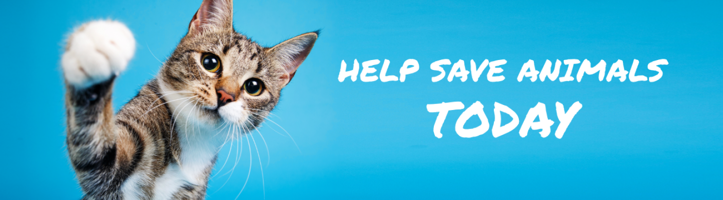 AC116276_Donation_Page_1300x360_FLTC2.png