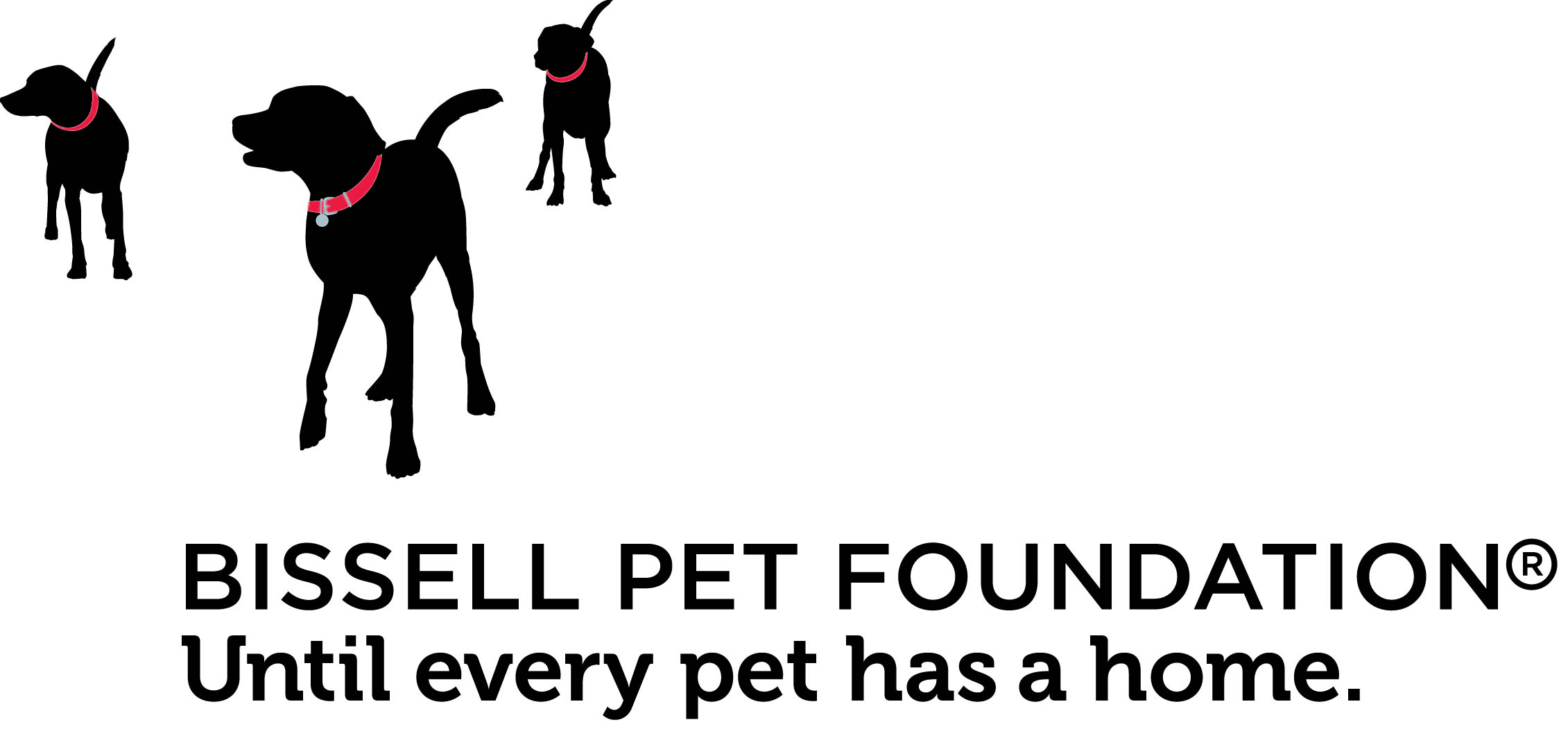 BPF_Logo.jpg