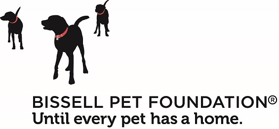 BPF_Logo_small.jpg