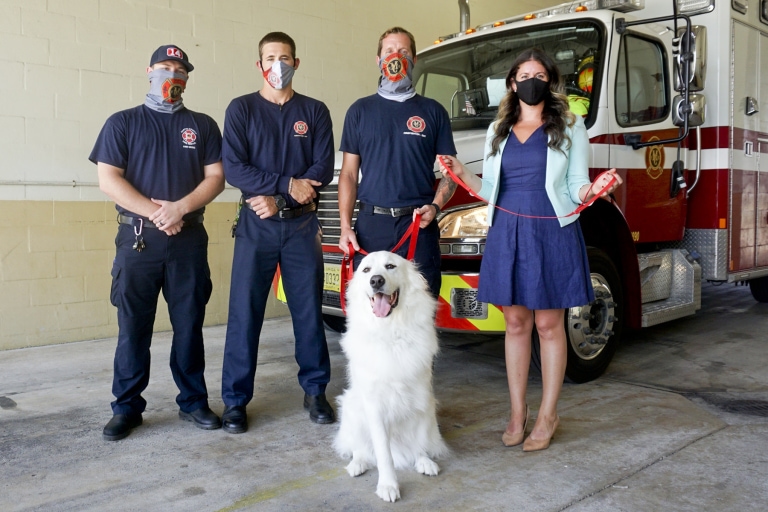 Pets will be safer during emergencies thanks to Fire Rescue partnership