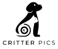 Marty_Pearson_Critter_Pics_Logo-0001.png