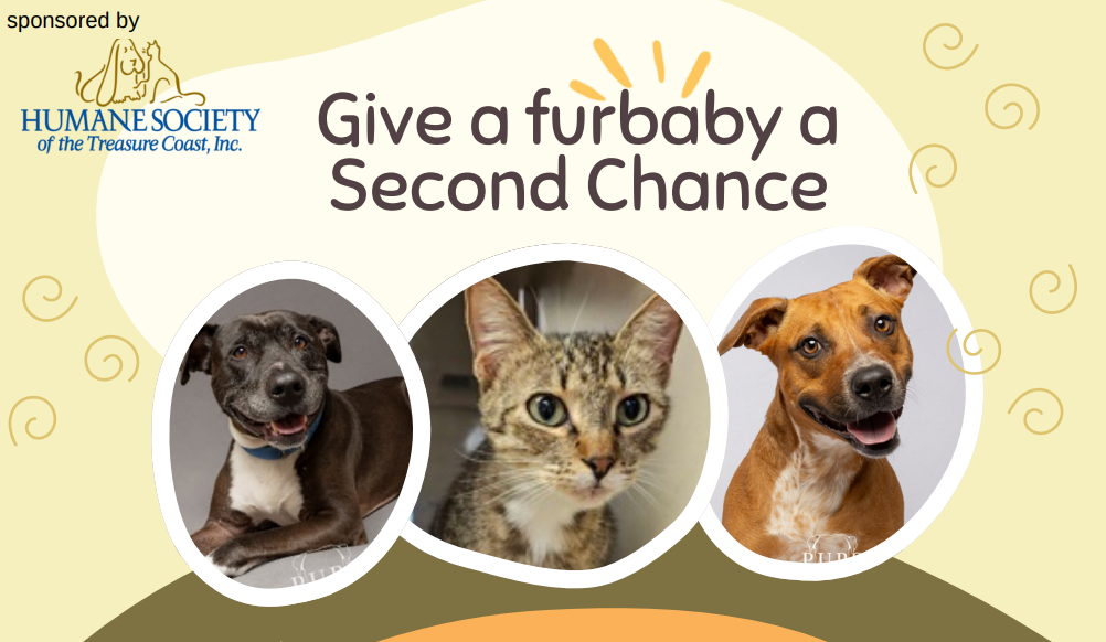 Coquina Cove Adoption Event