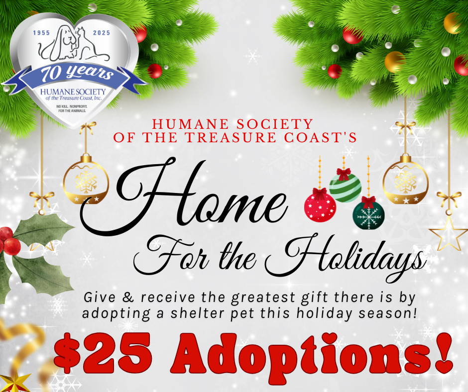 Home for the Holidays