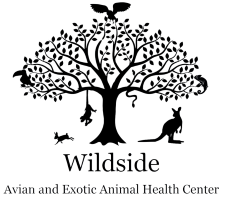 Wildside.png