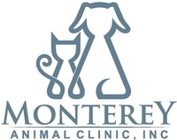 monterey-animal-clinic_Resized_for_web-0003-0001.jpg